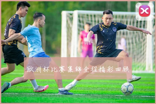 欧洲杯比赛集锦全程精彩回顾