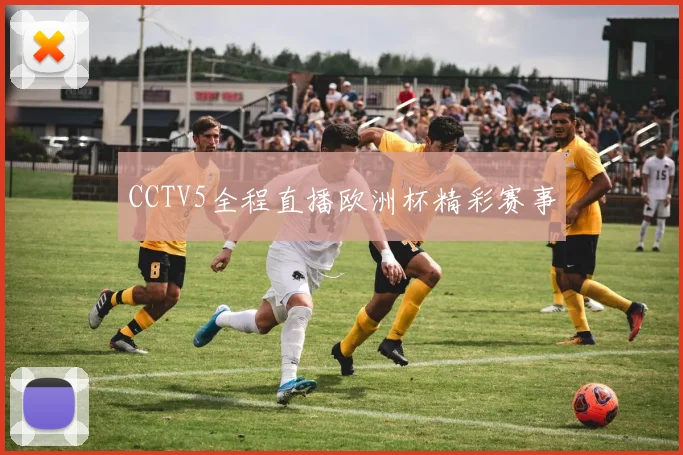 CCTV5全程直播欧洲杯精彩赛事